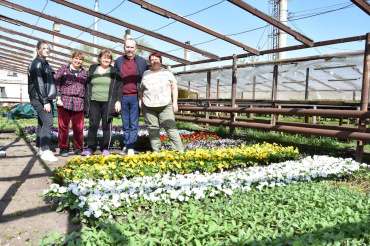 В апреле астраханцы высадили более 20 тысяч цветочных саженцев