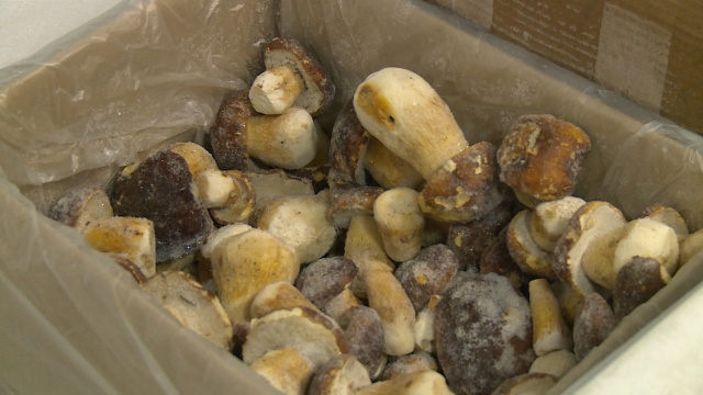 Астраханцам представили большой ассортимент грибных деликатесов
