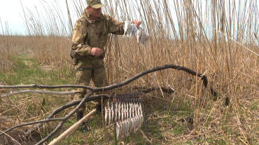 Рыбаки в Астрахани продолжают пренебрегать правилами рыболовства