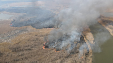 В Астраханском заповеднике горит камыш на площади 90 га