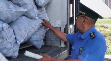 В Астраханскую область не пропустили 21 тонну лука из Казахстана