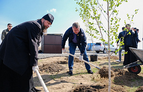 В Астраханской области предложили сажать дерево в честь рождения ребёнка