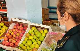 В Астрахани на рынке изъяли более 4,4 тонн нелегальных овощей и фруктов
