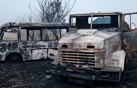 В Астраханской области в ДТП из-за лошадей сгорели микроавтобус и грузовик