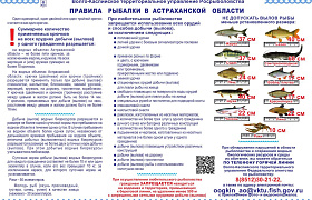 Минсельхоз предлагает запретить вылов воблы в Астраханской области