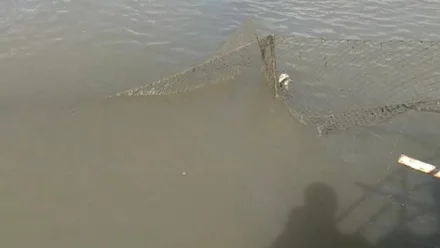 В Астраханской области пограничники спасли более 1500 рыб