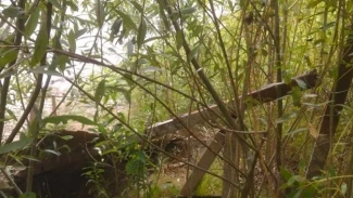 Под Астраханью незаконно ограничили доступ к протоке