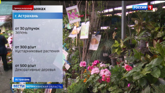 Чем богаты астраханские зеленые ряды