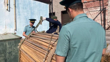 Астраханские таможенники передали в зону СВО около 13 кубометров лесоматериалов 