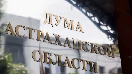 Астраханские депутаты предлагают разрешить усыплять бездомных агрессивных собак