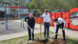 Администрация, коммунальщики, студенты и школьники поучаствовали в Дне чистоты в Астрахани