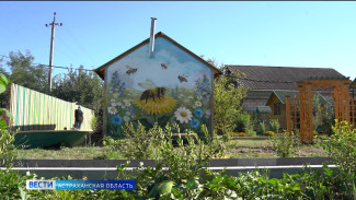 В Астраханской области можно попробовать уснуть на пчелиных колыбельных