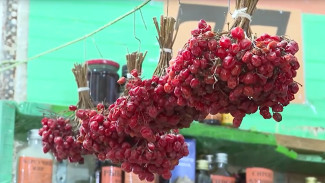 Есть ли в Астраханской области народные целители и травники