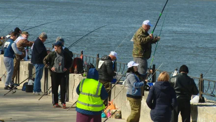 Как будет проходить фестиваль “Вобла” в 2021 году