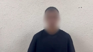 В Астрахани полиция нашла хулигана, вытянувшего за шею лебедя из озера