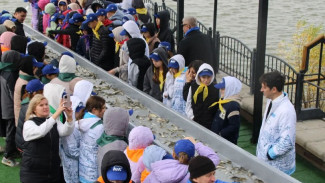 Под Астраханью 27 тысяч рыбной молоди выпустили в естественную среду обитания