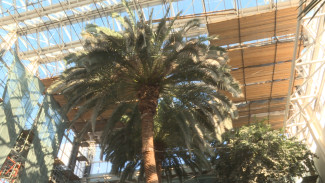 В Астрахани осудили директора стройфирмы за дачу взятки при реконструкции кинотеатра «Октябрь»