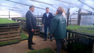 Глава Астрахани поручил украсить площадь Ленина звездами из цветов к 9 Мая