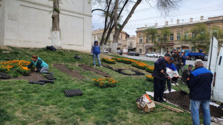 В Астрахани в 2021 году высадят порядка 500 тысяч цветов