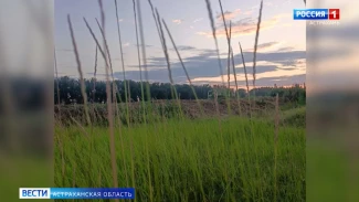 Астраханцы делятся атмосферными фотографиями природы 