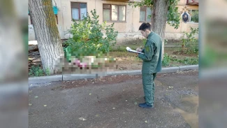 В Астраханской области директора УК будут судить за бездействие, повлёкшее смерть пенсионерки