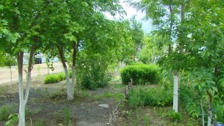 Астраханец своими руками создал мини-парк на набережной