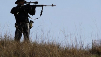 В Астраханской области завершился сезон охоты на пушных животных