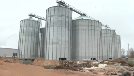 В Астраханской области создают современный мукомольный комплекс