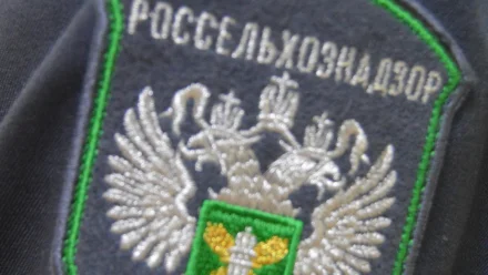 В Астраханскую область не пропустили 110 тонн абрикосов из Узбекистана