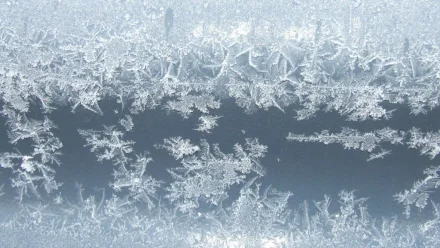 Какая погода прогнозируется в Астрахани 22 декабря