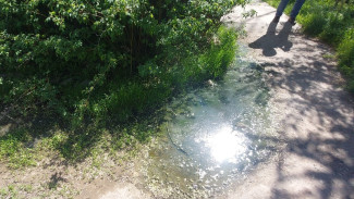 Трусовский хлебозавод загрязнил почву в Астрахани на 92 тыс. рублей