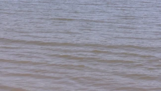 В Астраханской области утонул житель Ставропольского края