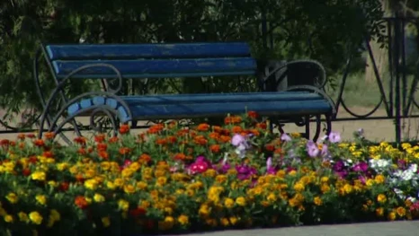 Более 350 идей для благоустройства населенных пунктов предложили астраханцы