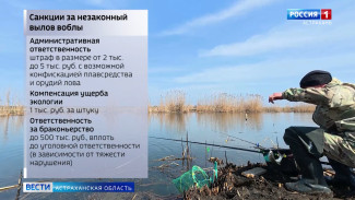 Правда ли, что астраханцу выписали штраф в полмиллиона рублей за вылов воблы?