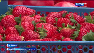 На астраханских рынках - сезонные перемены