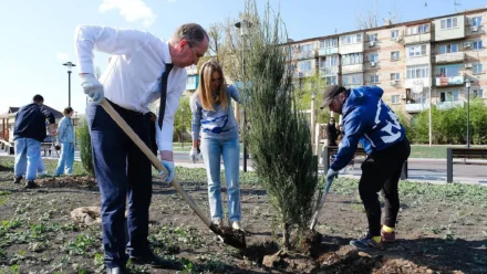 В Астрахани озеленили сквер “Антикормаш” в рамках месячника чистоты