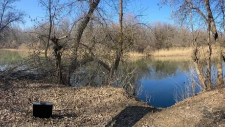 СК завершил дело об убийстве и изнасиловании 14-летней девочки под Астраханью