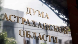 Астраханские депутаты поддержали федеральную инициативу о статусе некоторых участников СВО