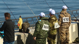 Анонс фестиваля "Вобла 2021". Номинация "Команда"