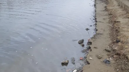 МЧС обнаружило ещё одну маслянистую плёнку в реке в Астрахани 