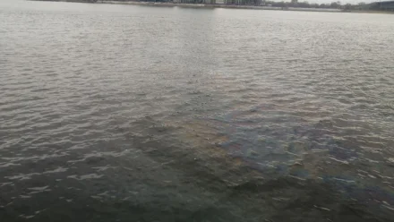 В Астрахани выявлено загрязнение акватории Волги на площади 40 кв. метров