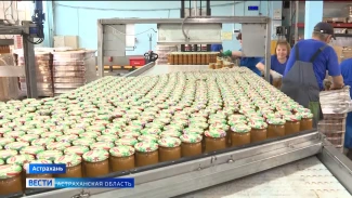 Где в Астраханской области начинается путь будущей кабачковой икры