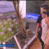 В Астраханском музее-заповеднике можно услышать рев сайгака