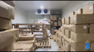 Под Астраханью полицейские изъяли более 14 тонн рыбы