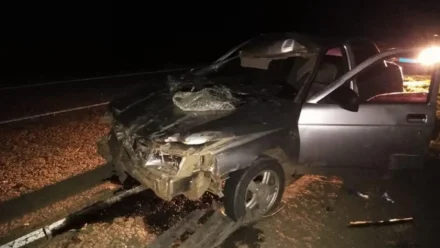 В Астрахани в 2021 году в ДТП с коровами и лошадьми погибли 3 человека