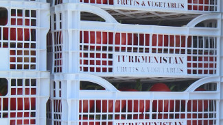 Туркменистан безвозмездно передаст Астраханской области лекарства и товары 