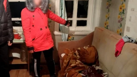 В Астраханской области завели дело на женщину за нападение на мужа