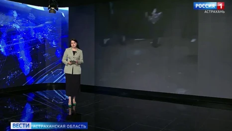 В Астрахани по улице Савушкина свободно бегают целые стаи крыс