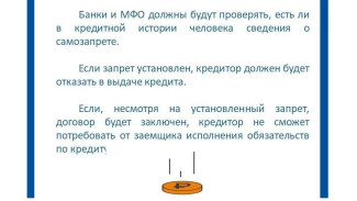 1,7 млн россиян запретили себе брать кредиты и займы 