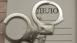 В Астрахани завели дела на чиновников из-за работы по бездомным животным 